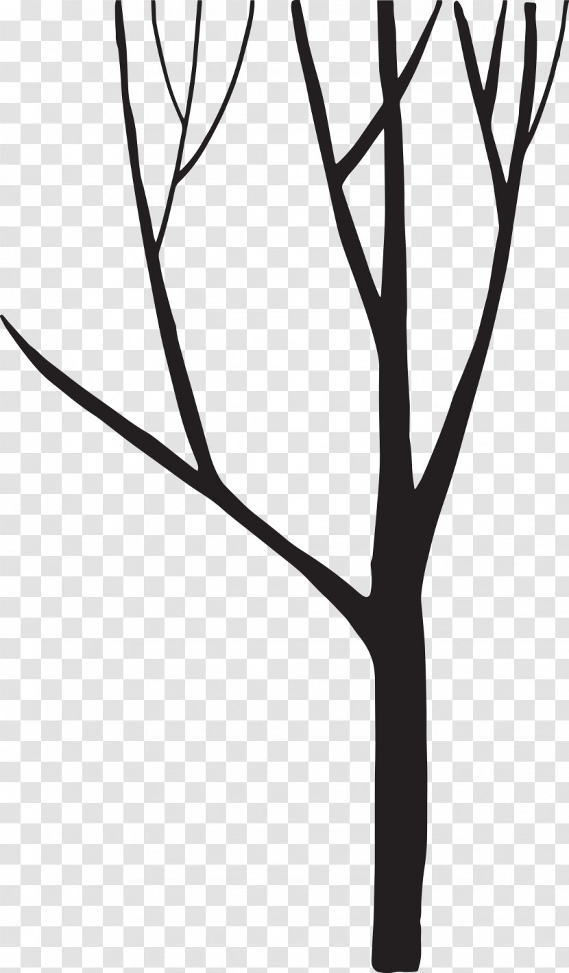 Black And White Silhouette Tree - Monochrome Photography Transparent PNG