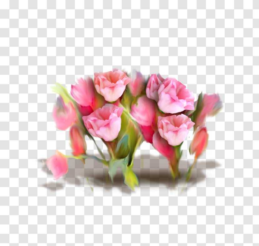 Garden Roses Floral Design Cut Flowers - Herbaceous Plant - Rose Transparent PNG