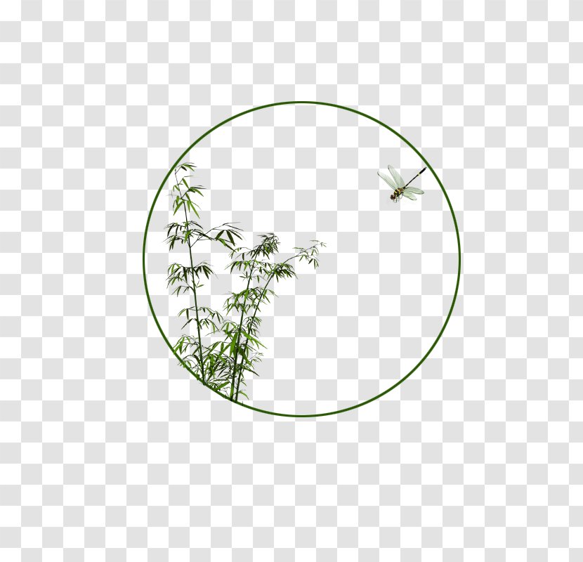 Bamboo Circle Computer File - Leaf - Ancient Round Border Transparent PNG