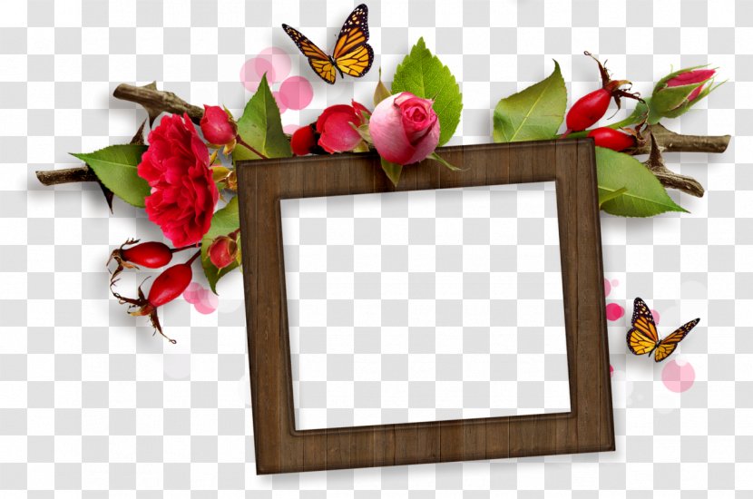 Flower Picture Frames Floral Design Garden Roses - Frame Transparent PNG
