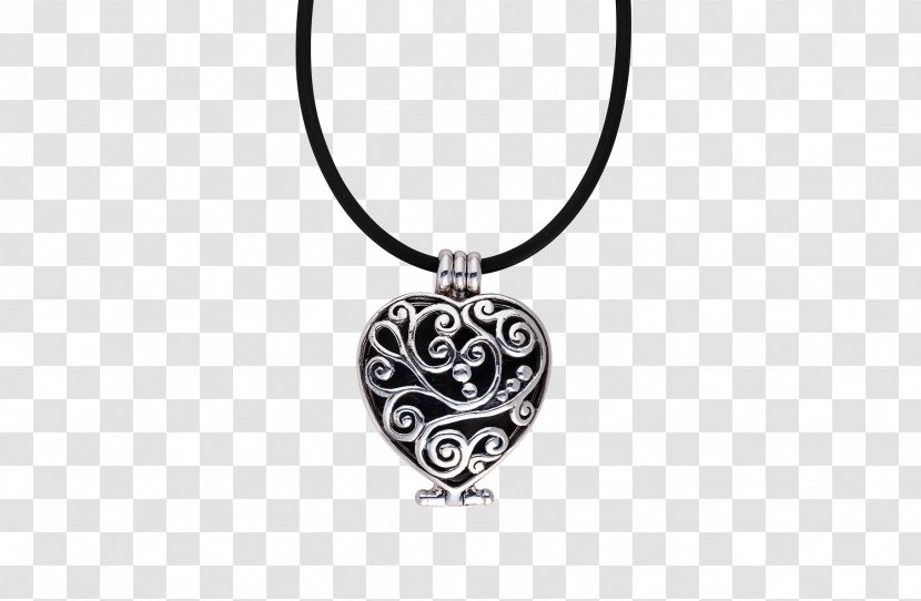 Locket Necklace Jewellery Chain Silver - Length - Advertisement Transparent PNG