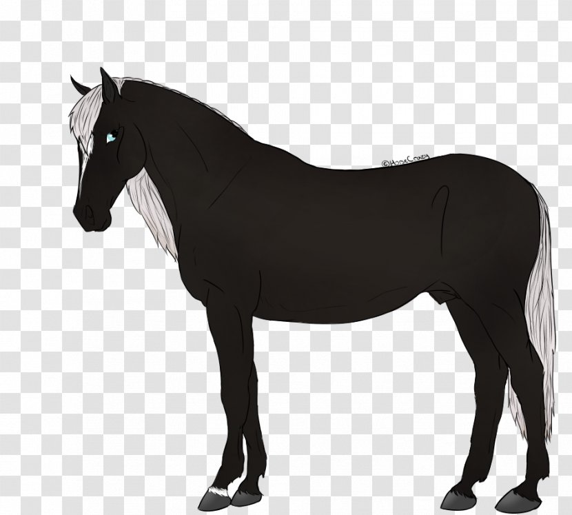 Thoroughbred Horses Drawing Equestrian Stallion - Turbosquid - Silhouette Transparent PNG