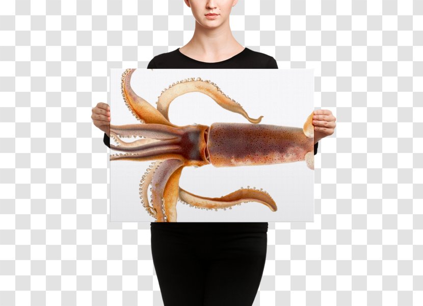 Colossal Squid Cephalopod Octopus The Dream Of Fisherman's Wife - Canvas Print - Design Transparent PNG