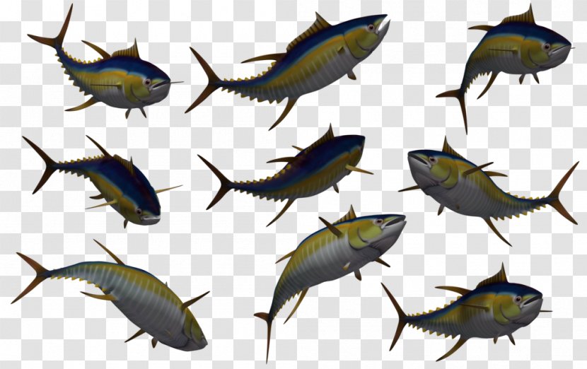Fish Yellowfin Tuna Clip Art - Insect - Free Photos Transparent PNG