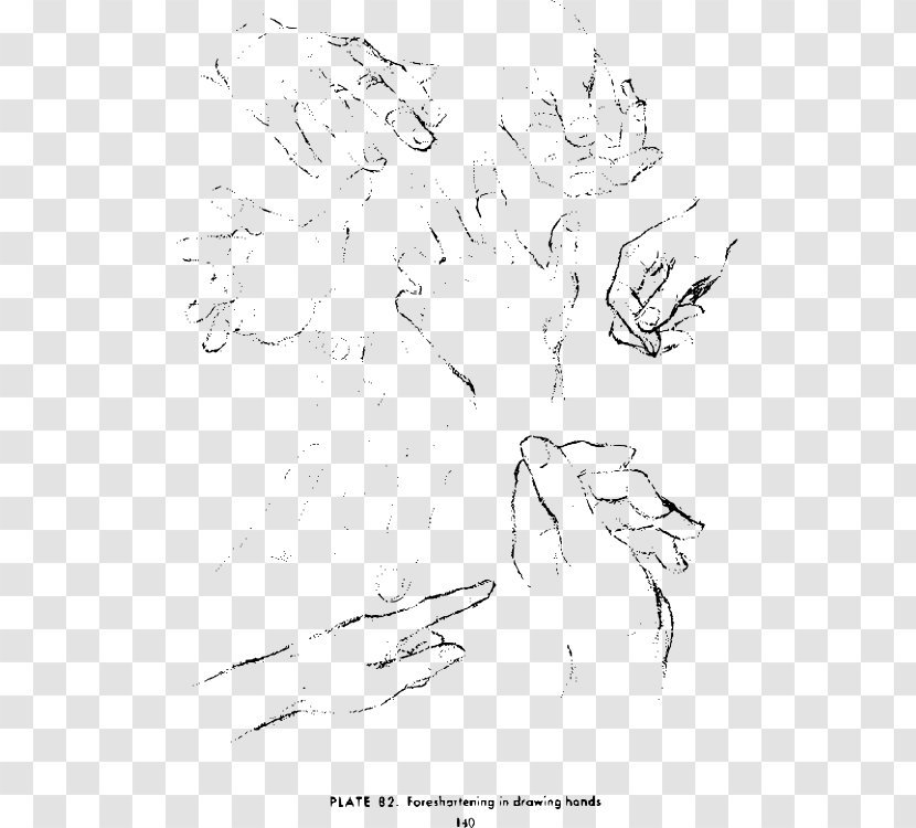 Drawing The Head And Hands Art Sketch - Hand Sketches Transparent PNG