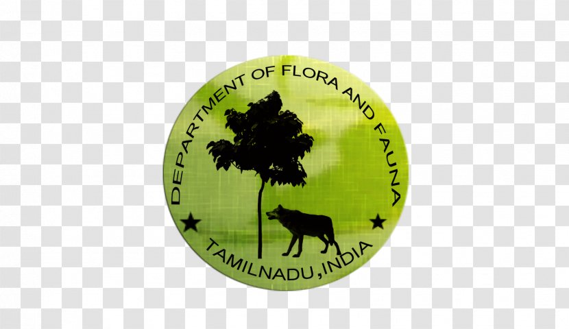 Logo Brand Font - Grass - Department Of Forestry Transparent PNG