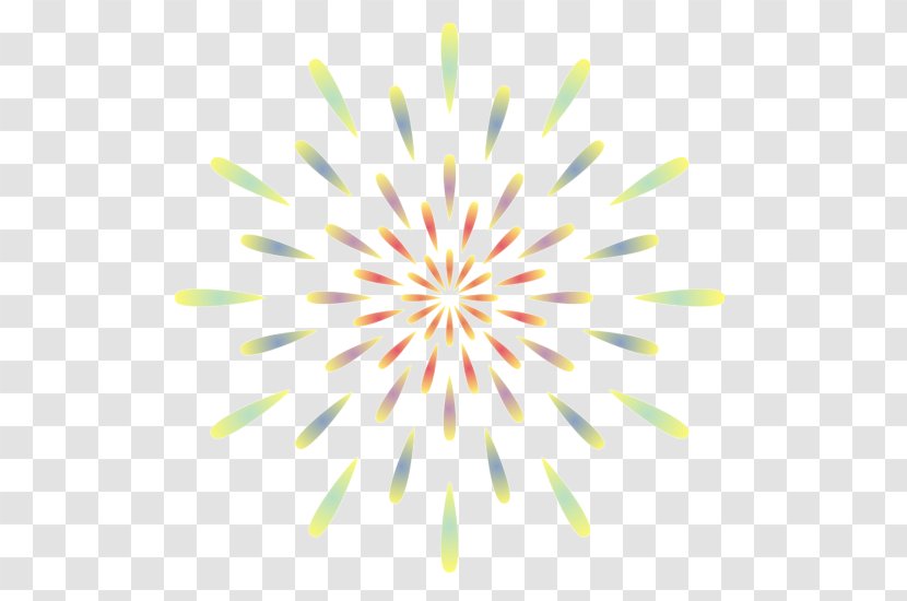 Fireworks - Flower Transparent PNG