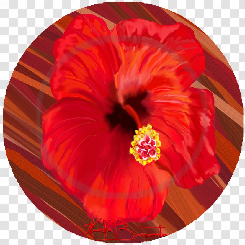 Hibiscus Chinese Cuisine Annual Plant - Hi Ho Cherryo Transparent PNG