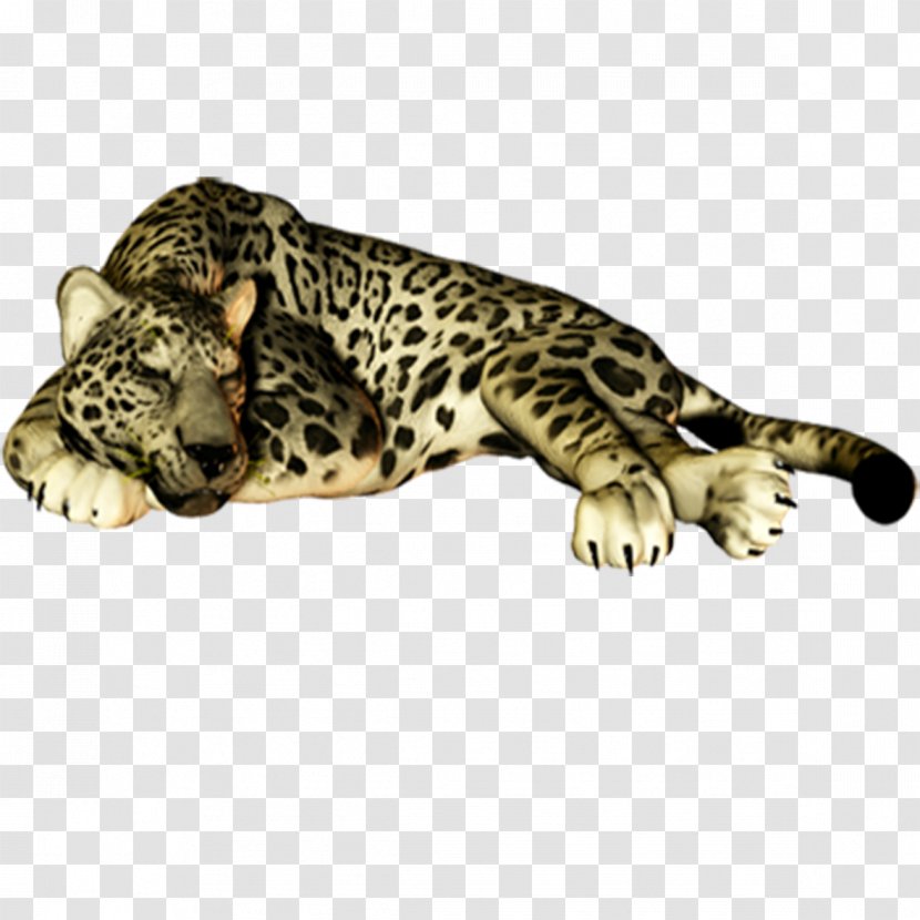 Leopard Felidae Cheetah Jaguar Cat - Snow Transparent PNG