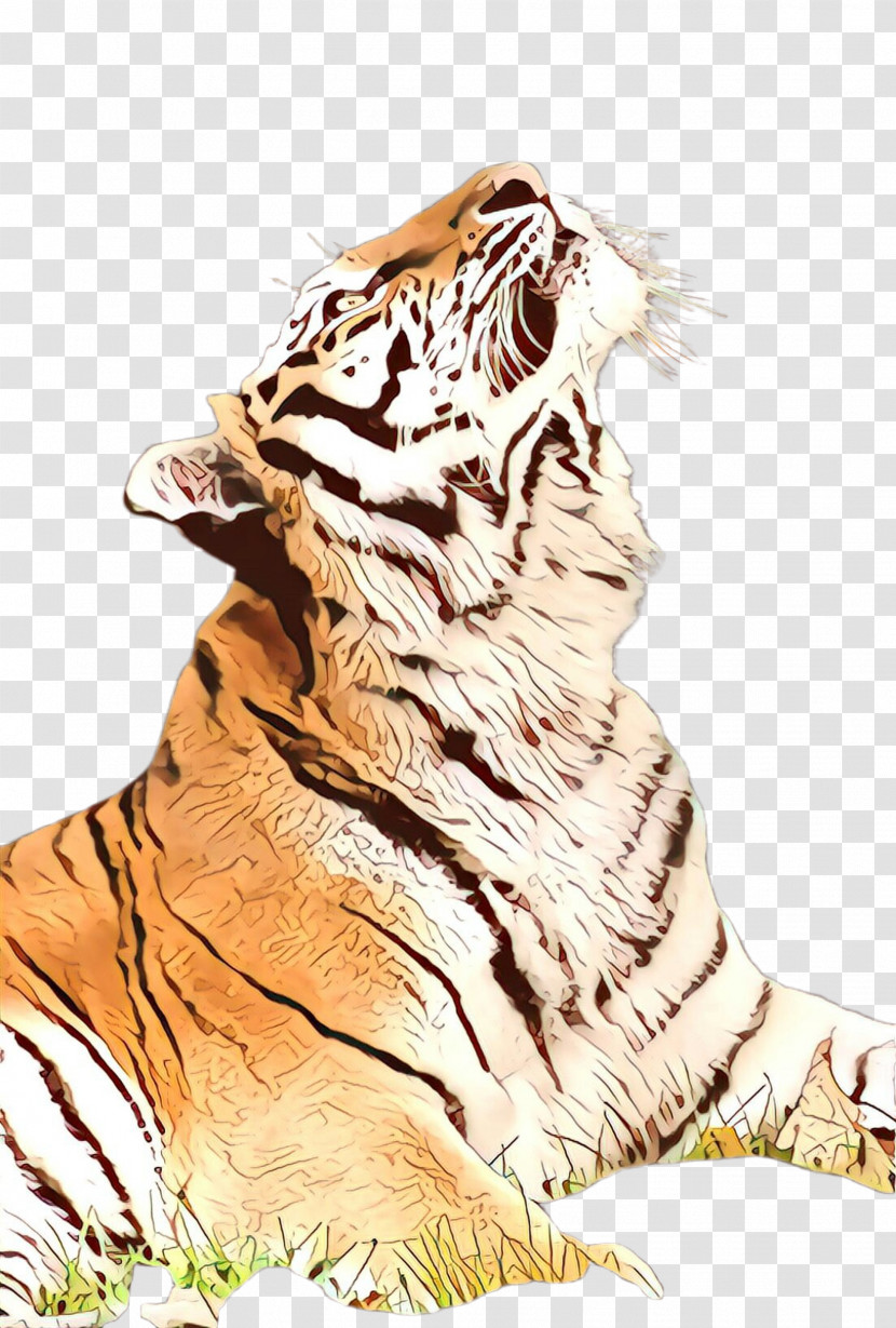 Tiger Bengal Tiger Siberian Tiger Roar Wildlife Transparent PNG
