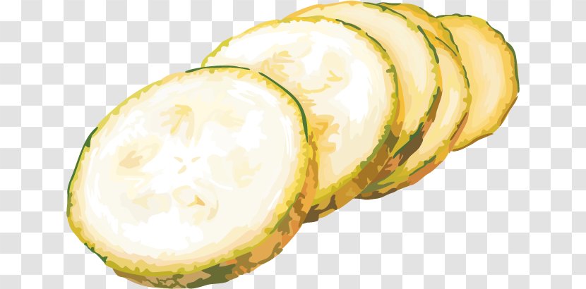 Cucumber Vegetable Gourd Euclidean Vector - Melon - Material Transparent PNG