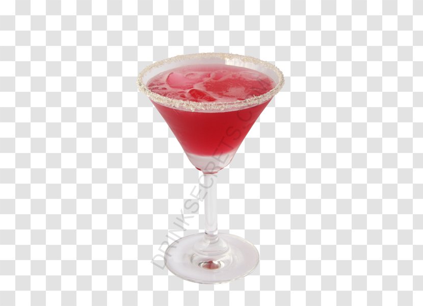 Cocktail Garnish Martini Cosmopolitan Bacardi - Classic - Cherry Drink Transparent PNG