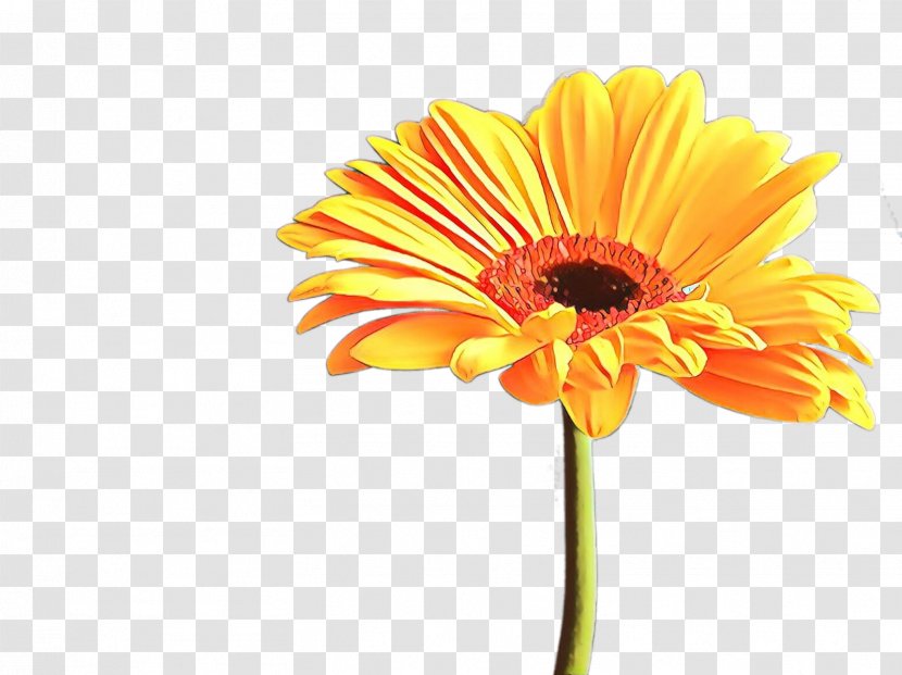 Sunflower - Yellow - Cut Flowers Petal Transparent PNG