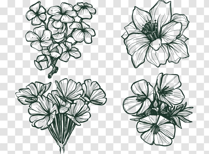 Flower Euclidean Vector Winter Cold Snow - Drawing - Hand Drawn Sketch Flowers Transparent PNG