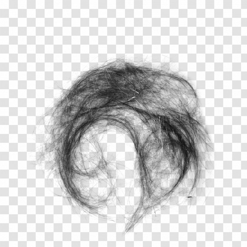 Hair Capelli - Watercolor - Real Transparent PNG