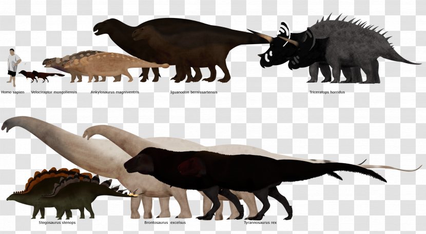Tyrannosaurus Triceratops Stegosaurus Ankylosaurus Edmontosaurus - Maintenance Workers Transparent PNG