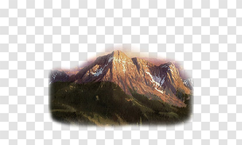 Landscape Reptile Photography Email Valencian - Rock Music - Slovakia National Football Team Transparent PNG