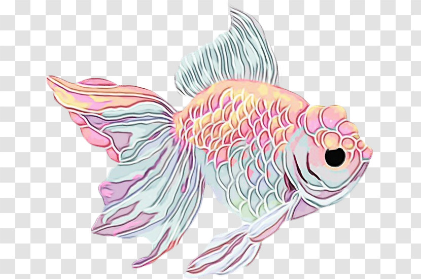 Fish Fish Pink Goldfish Carp Transparent PNG