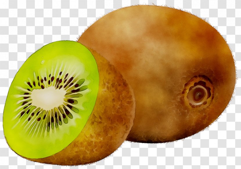 Kiwifruit - Fruit - Plant Transparent PNG
