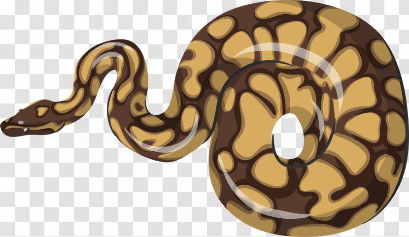 Boa Constrictor Reptile Vipers Snake Transparent PNG