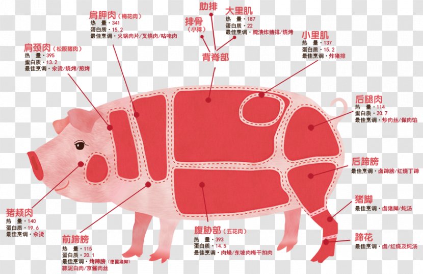 Pig Meat Pork Food - Watercolor Transparent PNG