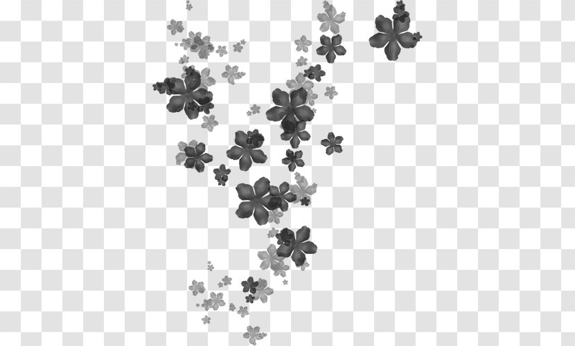 Adobe Flash Computer Graphics - Monochrome Photography - Flower Collage Transparent PNG