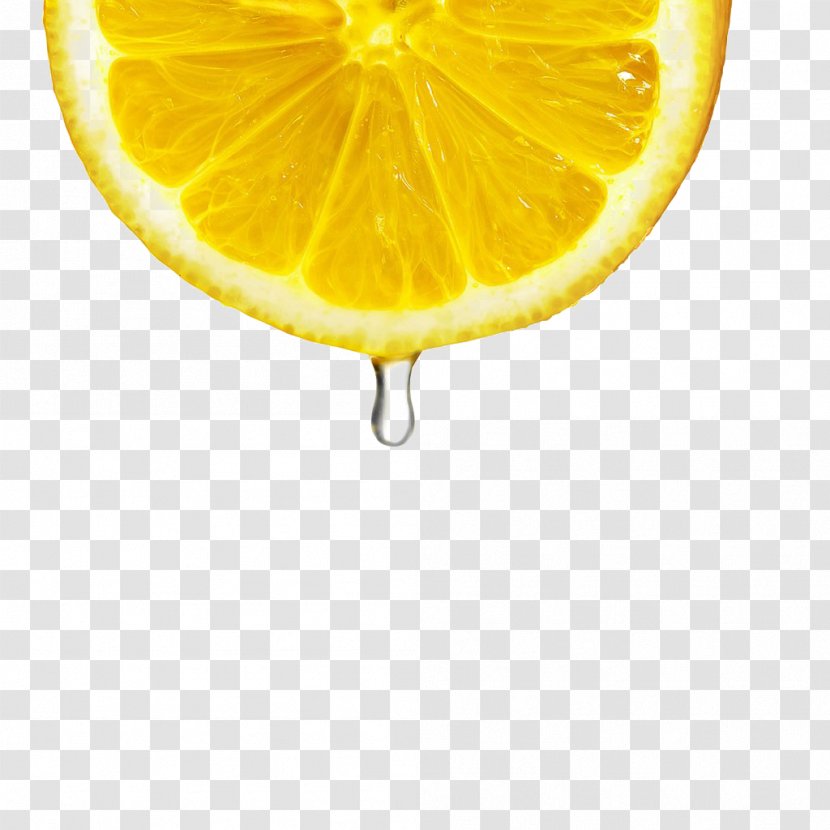 Lemon Fruit - Citrus - Slices Transparent PNG