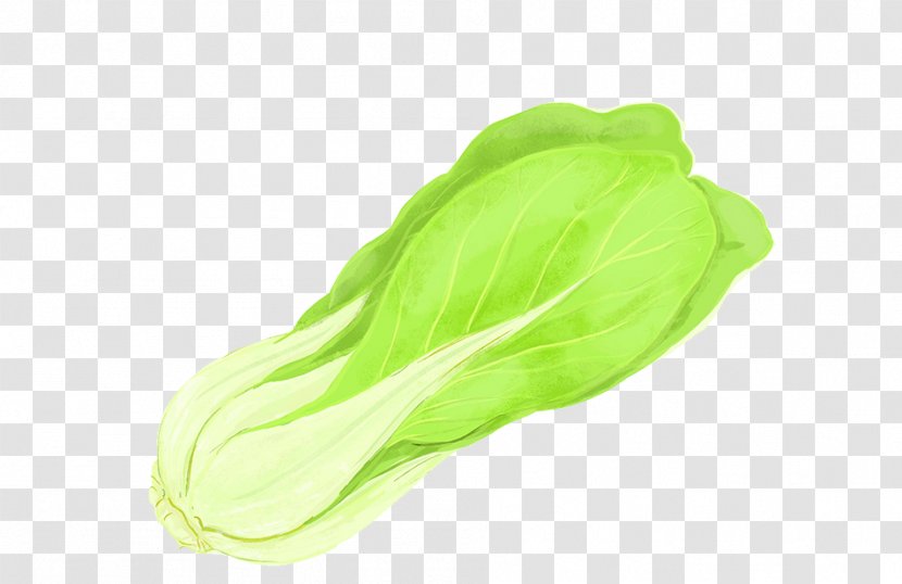Vegetable Chinese Cabbage Napa Kale - Yellow - A Transparent PNG