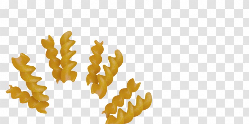 Gluten-Free Foods Gluten-free Diet Farmo S.p.a. - Production - Fusilli Streamer Transparent PNG