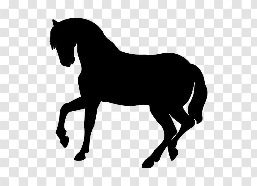 Horse Silhouette Dog Baby Jungle Animals Cat Transparent PNG