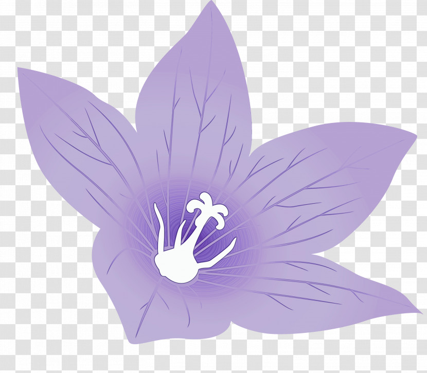 Lavender Transparent PNG