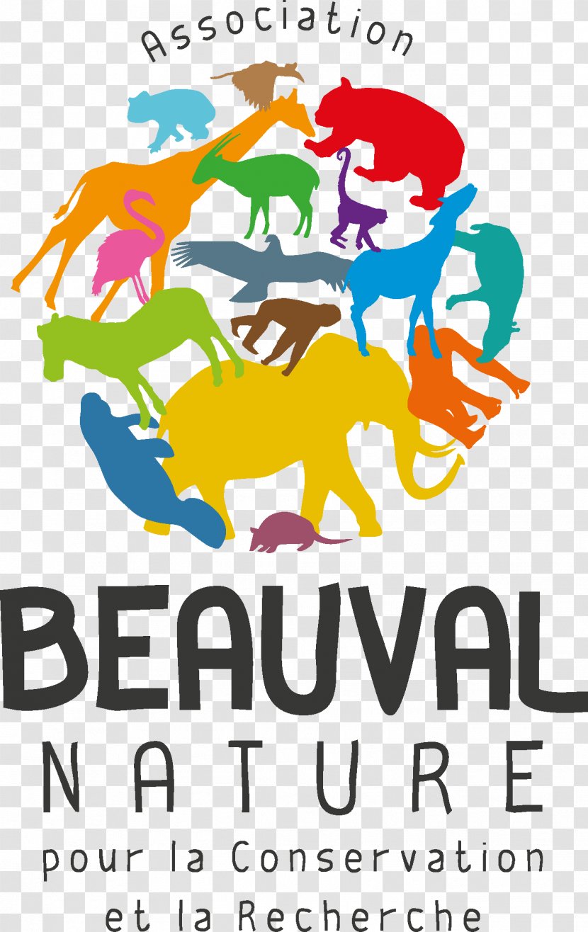ZooParc De Beauval Conservation Nature Research - European Association Of Zoos And Aquaria - Area Transparent PNG