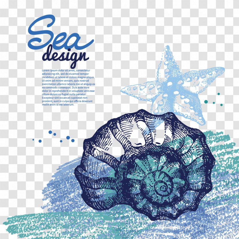 Drawing Seashell Clip Art - Organism - Hand Drawn Snail And Starfish Transparent PNG
