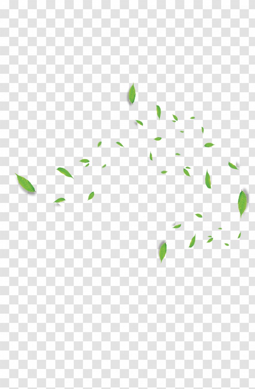 Green Pattern - Text - Leaves Transparent PNG