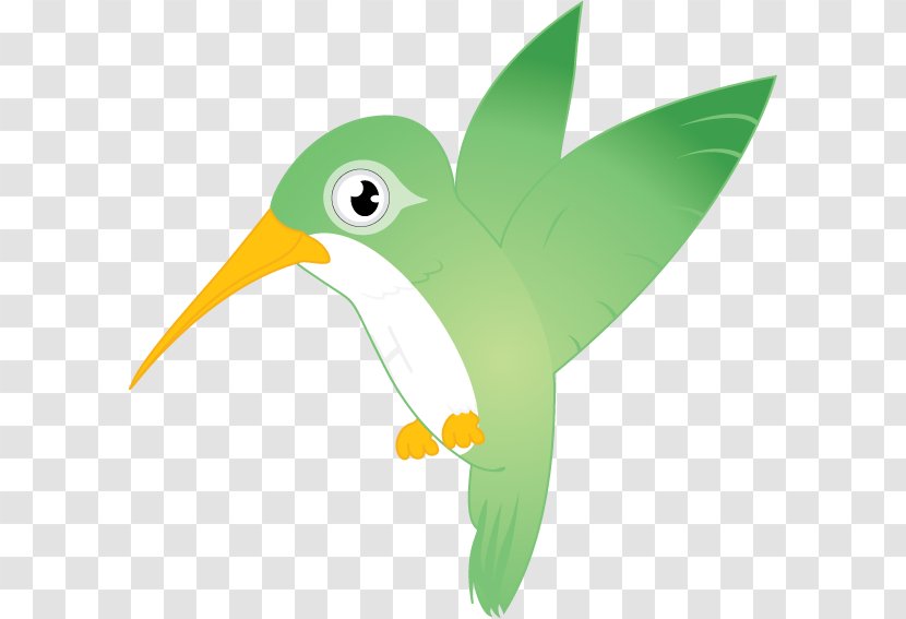 Bird Beak Cartoon Clip Art - Leaf - Hummingbird Transparent PNG