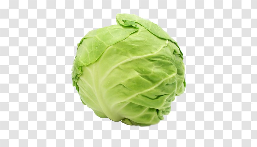Capitata Group Savoy Cabbage Chinese Leaf Vegetable Transparent PNG