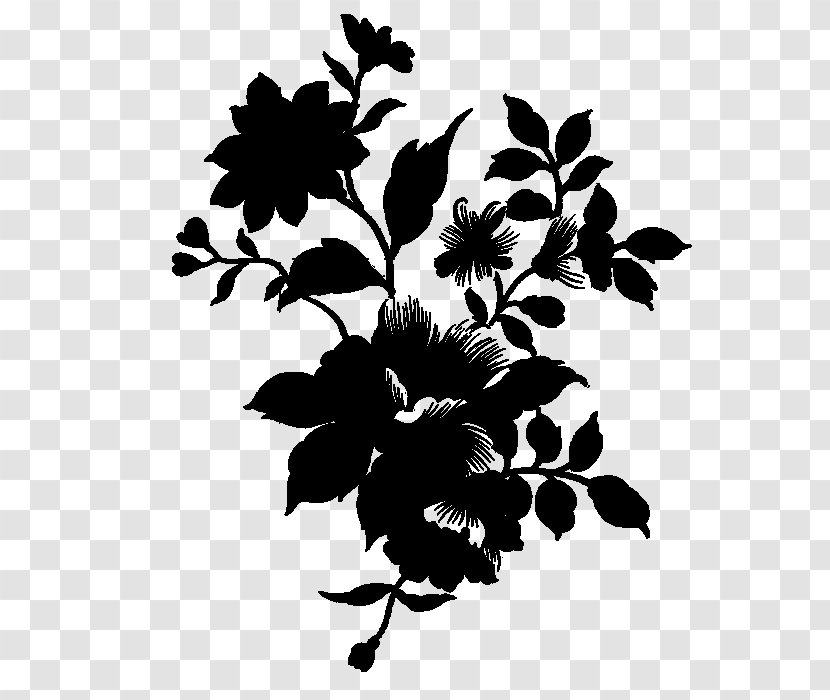 Rose Family Leaf Floral Design - Botany - Plant Transparent PNG