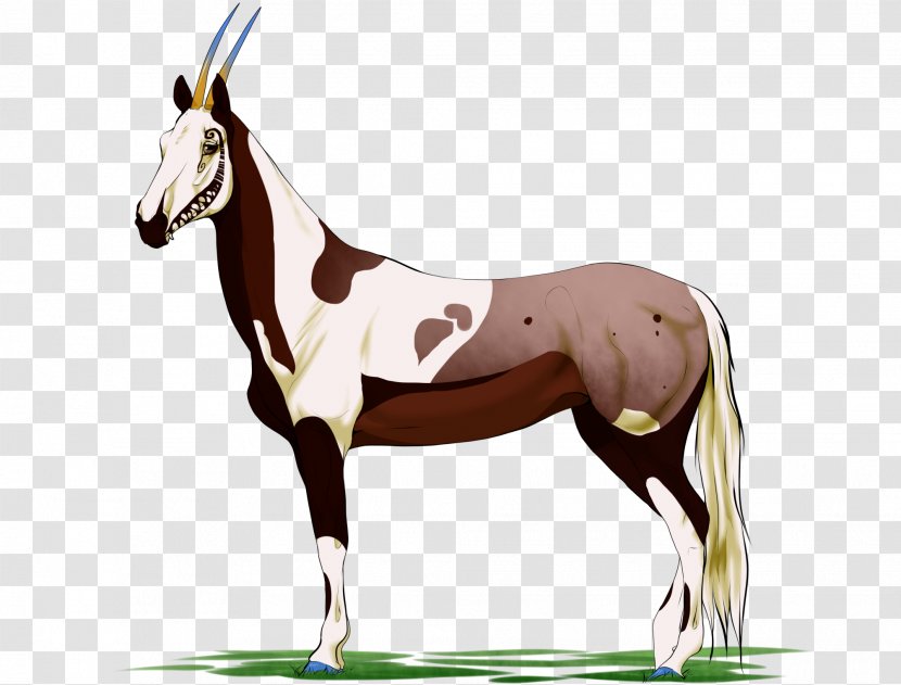 Mule Foal Mustang Stallion Mare - Horse Like Mammal Transparent PNG