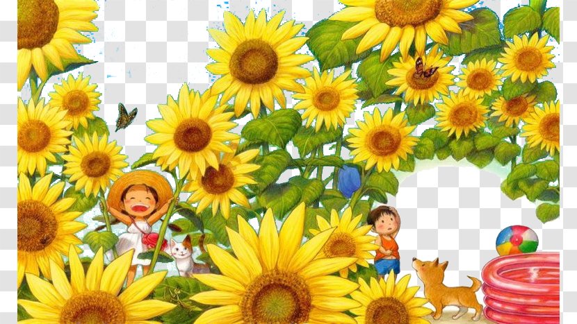 Common Sunflower Cartoon Painting Illustration - Flowering Plant - Forest Transparent PNG