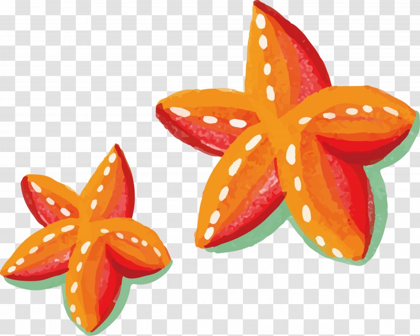 Watercolor Painting Starfish - Orange Painted Transparent PNG