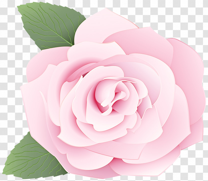 Garden Roses Transparent PNG