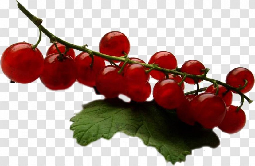 Redcurrant Fruit Jam Auglis Varenye - Frutti Di Bosco - Cherry Transparent PNG