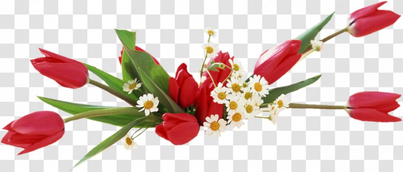 Desktop Wallpaper Tulip Vase Flower - Floral Design Transparent PNG