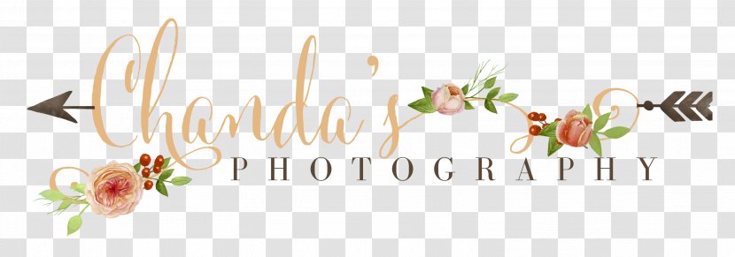 Lifestyle Photography Portrait Photographer - Beautifully Opening Ceremony Posters Transparent PNG
