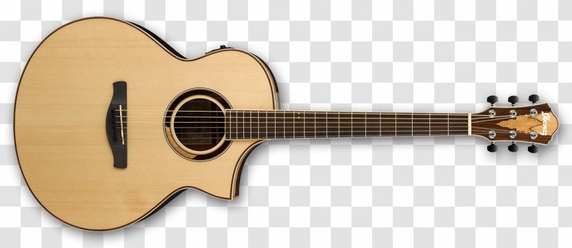 Takamine Guitars Acoustic Guitar Musical Instruments Guild Company - Frame Transparent PNG