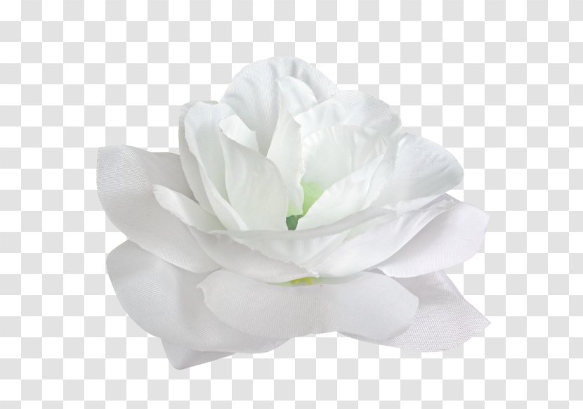 Vecteur - White - Flowering Plant Transparent PNG
