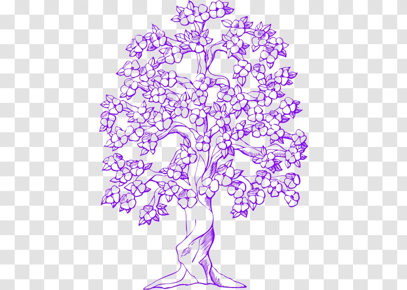 Flowering Dogwood Drawing Kousa Tree Image - Visual Arts - Purple Banana Trees Hawaii Transparent PNG