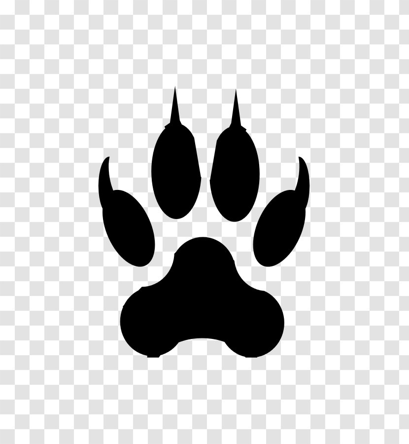 Lion Tiger Cougar Footprint Paw - Silhouette Transparent PNG