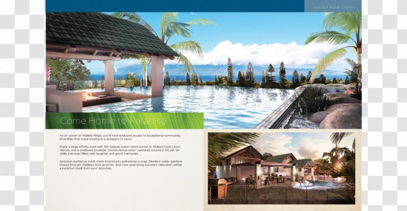 Vacation Resort Property Advertising Tourism - Travel - Agency Brochure Transparent PNG