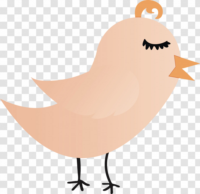 Bird Beak Transparent PNG